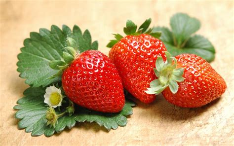 正常吃草莓的季节是几月份 草莓是什么季节的水果 - 木鱼号