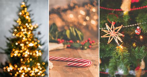 50 Interesting Christmas Food Trivia Questions and Answers - Land of Trivia