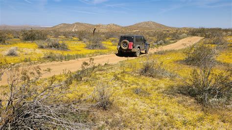Loop Trail 的图像结果