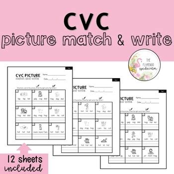 The Flamingo Speducator Teaching Resources | Teachers Pay Teachers