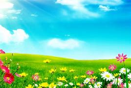 Image result for Cute Spring Cartoon Wallpaper for Laptop