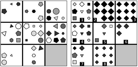 Image result for Raven Progression Matrix Questions Explained