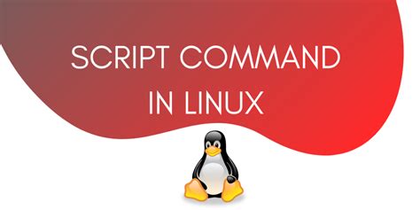 Image result for Linux Script
