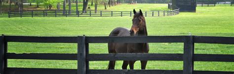 Facilities • Courthouse