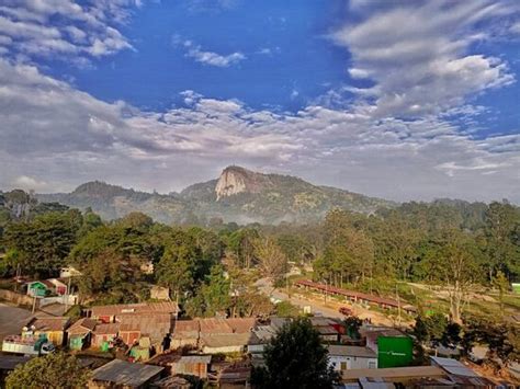 TAITA LUXURY HOTELS (Wundanyi) - Specialty Inn Reviews, Photos, Rate ...