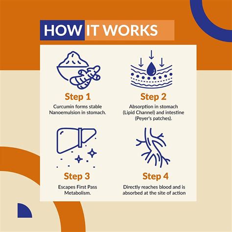 Buy SNEC30 Liquid Curcumin, 15 Capsules | 19 Minutes Delivery | Apollo ...