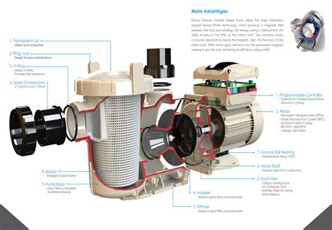 Image result for How to Program Variable Speed Pool Pump