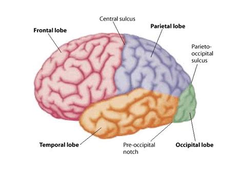 Image result for Cortex-R Vector Table