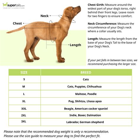 Buy Harry Potter Hufflepuff Sweater for Dogs Online | Supertails