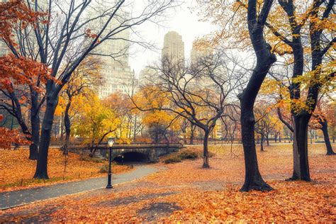 NYC Autumn Wallpapers - 4k, HD Backgrounds on WallpaperBat