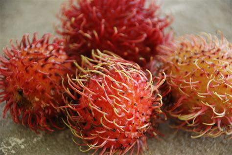 Mamones Fruit