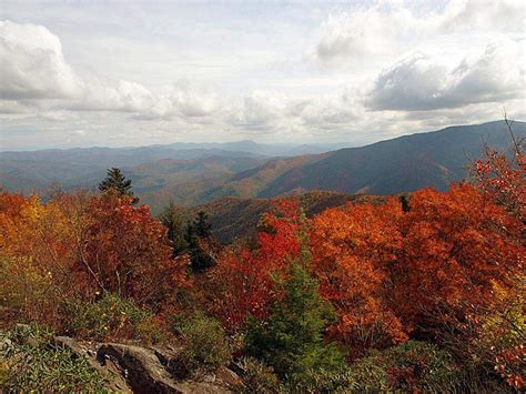 When to see peak fall colors across North Carolina | Raleigh News ...