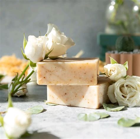 7 Benefits of Sea Moss for Women | Essential Sea Moss – Shop Essential Sea Moss