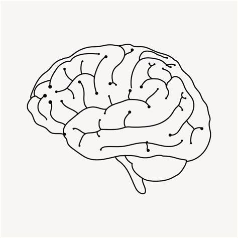 Images de Cerveau dessine – Téléchargement gratuit sur Freepik