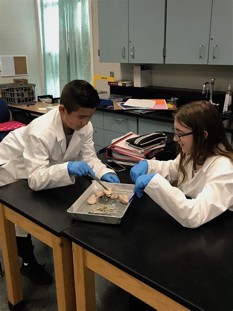 Olmsted Falls Middle School receives national recognition for STEM ...