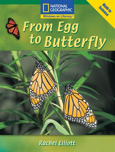 Buy From Egg to Butterfly (National Geographic Windows on Literacy ...