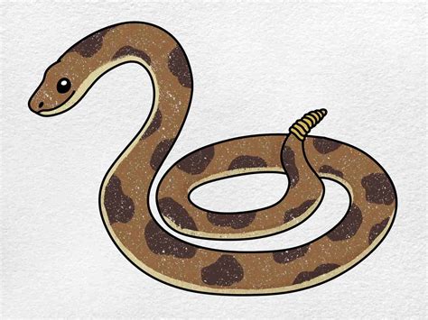 How to Draw a Rattlesnake - HelloArtsy
