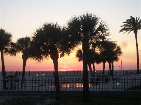 Sunset St Pete Beach - Pet Spare