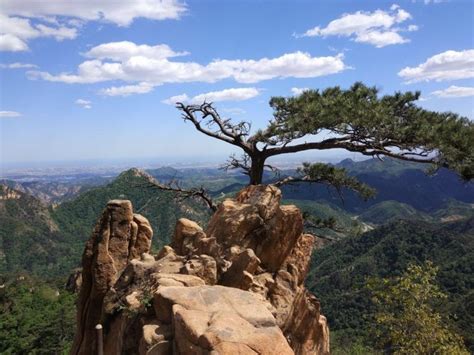 秦皇岛背牛顶景区《铜牛》雕塑 - 知乎