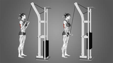 Reverse Grip Cable Tricep Extension