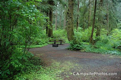 Mora Campground Washington: Reservations, Amenities & Reviews