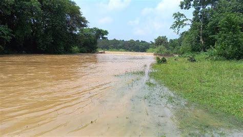 Rezultat imagine pentru Computer Bahata