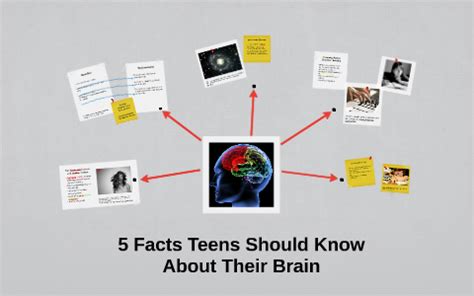 primary facts for teens teen private guide