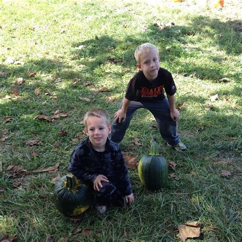 Review of Shady Lane Farms Pumpkin Patch in Shepherdsville, KY ...