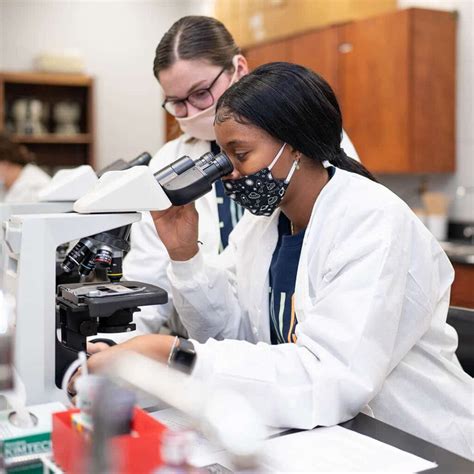 Medical Lab Technology 的图像结果