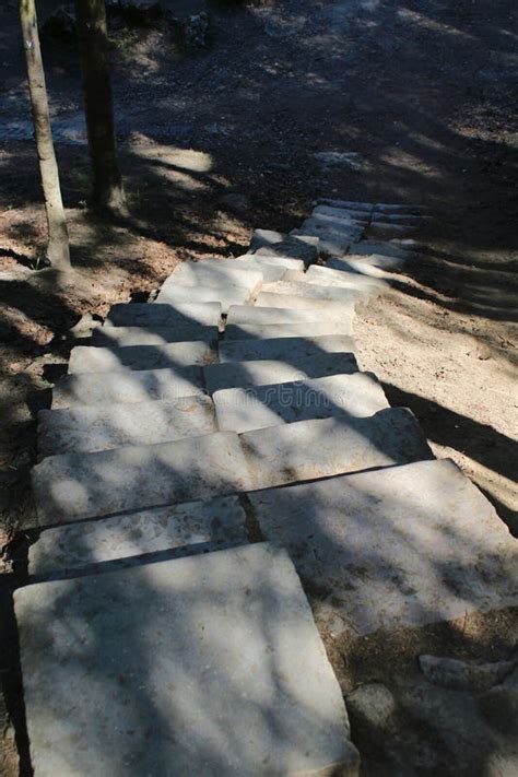 Primitive Technology Building Stone Steps 的图像结果