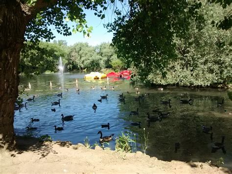 LOCKE PARK (2026) All You Need to Know BEFORE You Go (w/ Reviews ...