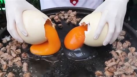 Ostrich Egg Recipe