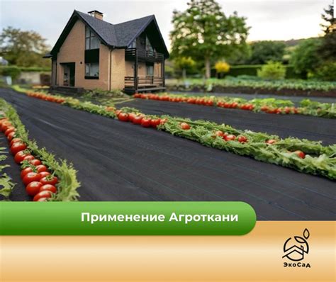 Агроткань 1,05х10 м, укрывной материал от сорняков 100 гр/м2 ...
