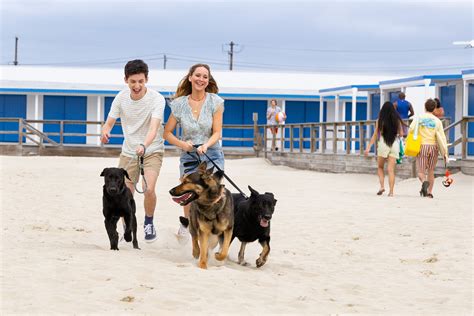 Reseña de No Hard Feelings, la comedia con Jennifer Lawrence | Vogue