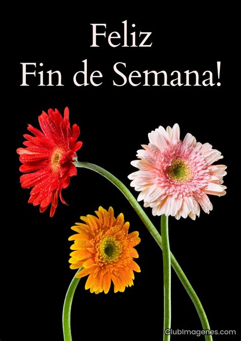 Imagenes Bonitas De Feliz Fin De Semana