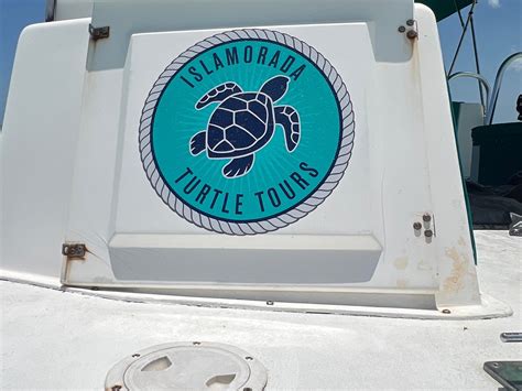 ISLAMORADA TURTLE TOURS (2026) All You Need to Know BEFORE You Go (with ...