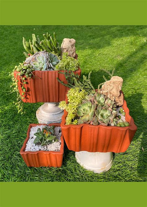Get Square Terracotta Planter - Set of 3 at ₹ 799 | LBB Shop