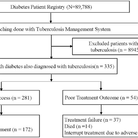 Tuberculosis Treatment Algorithm 的图像结果
