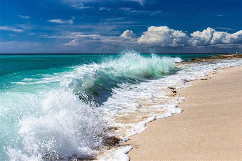 Sea Level 的图像结果