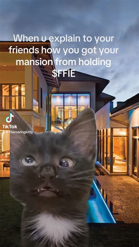 #FFIE Rally the Troops : r/ffieroaringkitty