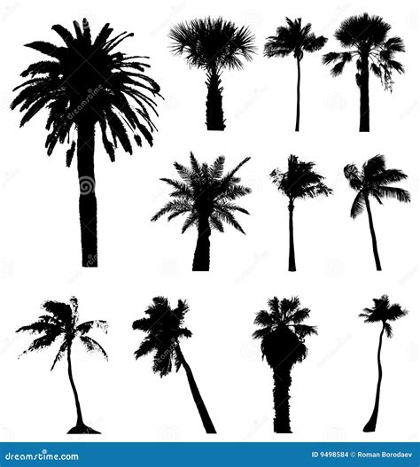Silhouette Of Palm Trees