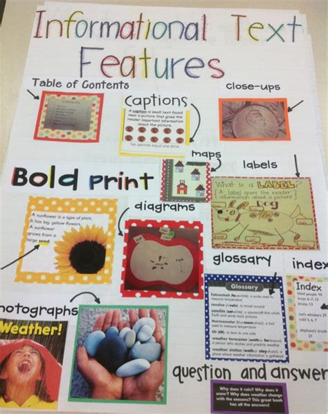 Information Text Features 的图像结果