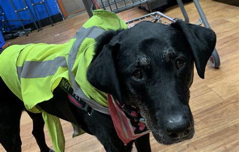 "Do I really have to dispense?" : r/OGPBackroom