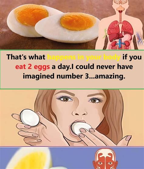 What happens to your body if you eat two eggs a day? – Tiny House Zone