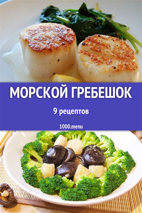 Блюда с морским гребешком - 13 рецептов приготовления пошагово - 1000.menu