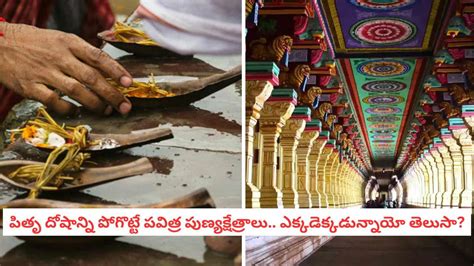 Pitru dosham: ఇంట్లో అకస్మాత్తుగా సమస్యలా? అది మీ పూర్వీకుల శాపం ...