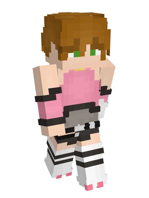 Image result for How to Get Skins in Java