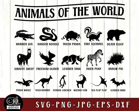 Animals of the World SVG Funny Animal Names Home Decor - Etsy