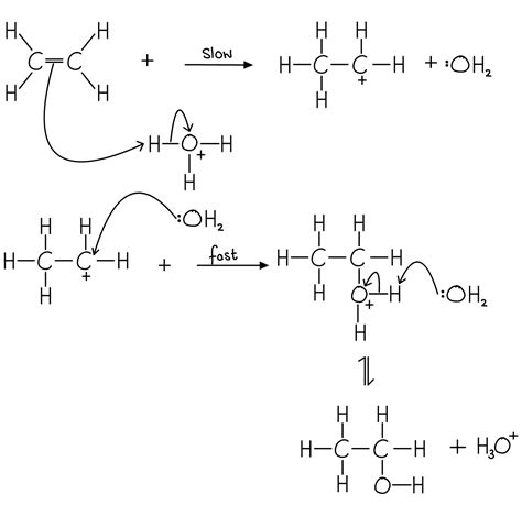 The Mechanisms of Electrophilic Addition Reactions (HL) | HL IB Chemistry Revision Notes 2025 ...