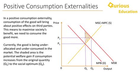 Negative Externalities and Positive Externalities Notes - A-level & IB ...